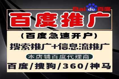 百度竞价策略解析：案例分析及优化建议